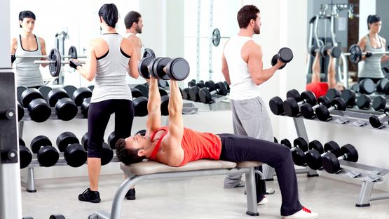 Testosterone Mix 300 mg Cygnus : Régime de dosage